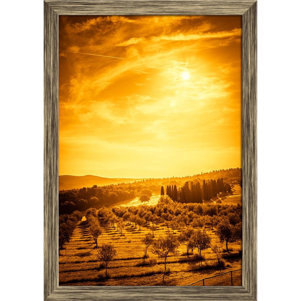 ArtzFolio Olive Field in Tuscany, Central Italy Canvas Painting-Paintings Wooden Framing-AZ5006847ART_FR_RF_R-0-Image Code 5006847 Vishnu Image Folio Pvt Ltd, IC 5006847, ArtzFolio, Paintings Wooden Framing, Landscapes, Places, Photography, olive, field, in, tuscany, central, italy, canvas, painting, framed, print, wall, for, living, room, with, frame, poster, pitaara, box, large, size, drawing, art, split, big, office, reception, of, kids, panel, designer, decorative, amazonbasics, reprint, small, bedroom,