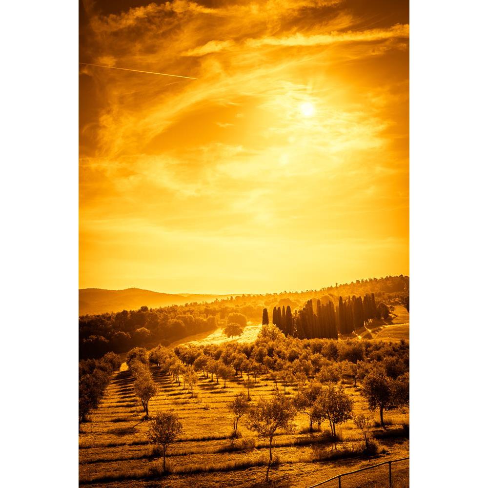 ArtzFolio Olive Field in Tuscany, Central Italy Canvas Painting-Paintings MDF Framing-AZ5006847ART_UN_RF_R-0-Image Code 5006847 Vishnu Image Folio Pvt Ltd, IC 5006847, ArtzFolio, Paintings MDF Framing, Landscapes, Places, Photography, olive, field, in, tuscany, central, italy, canvas, painting, framed, print, wall, for, living, room, with, frame, poster, pitaara, box, large, size, drawing, art, split, big, office, reception, of, kids, panel, designer, decorative, amazonbasics, reprint, small, bedroom, on, s