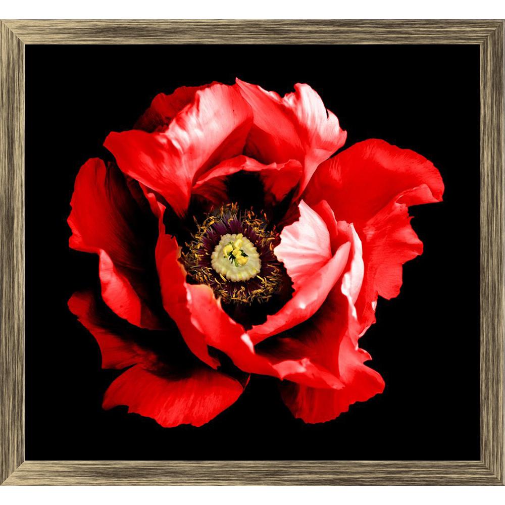 ArtzFolio Surreal Dark Chrome Red Peony Flower Canvas Painting Synthetic Frame-Paintings Synthetic Framing-AZ5006848ART_FR_RF_R-0-Image Code 5006848 Vishnu Image Folio Pvt Ltd, IC 5006848, ArtzFolio, Paintings Synthetic Framing, Floral, Photography, surreal, dark, chrome, red, peony, flower, canvas, painting, synthetic, frame, framed, print, wall, for, living, room, with, poster, pitaara, box, large, size, drawing, art, split, big, office, reception, of, kids, panel, designer, decorative, amazonbasics, repr