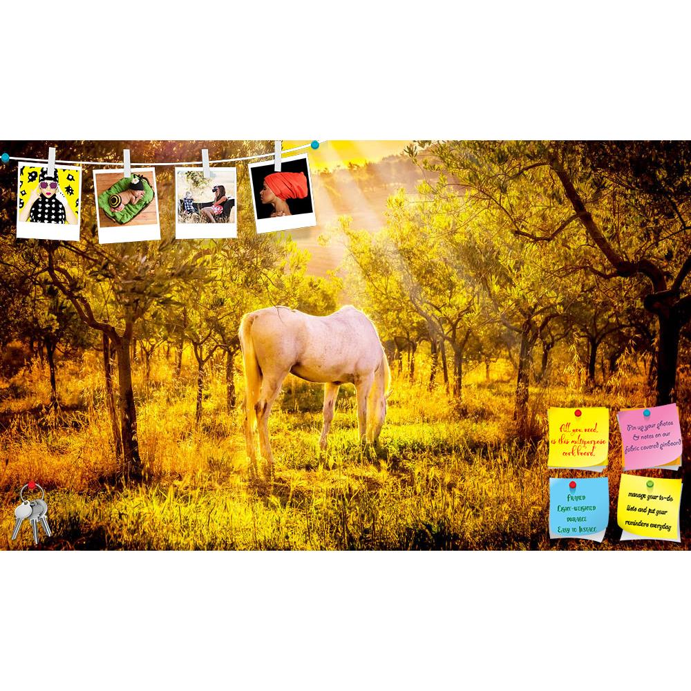 ArtzFolio White Wild Horse In Olive Tuscan Orchard Printed Bulletin Board Notice Pin Board Soft Board | Frameless-Bulletin Boards Frameless-AZ5006873BLB_FL_RF_R-0-Image Code 5006873 Vishnu Image Folio Pvt Ltd, IC 5006873, ArtzFolio, Bulletin Boards Frameless, Animals, Landscapes, Photography, white, wild, horse, in, olive, tuscan, orchard, printed, bulletin, board, notice, pin, soft, frameless, tuscany, italy, landscape, sunset, italian, sunrise, coun, pin up board, push pin board, extra large cork board, b