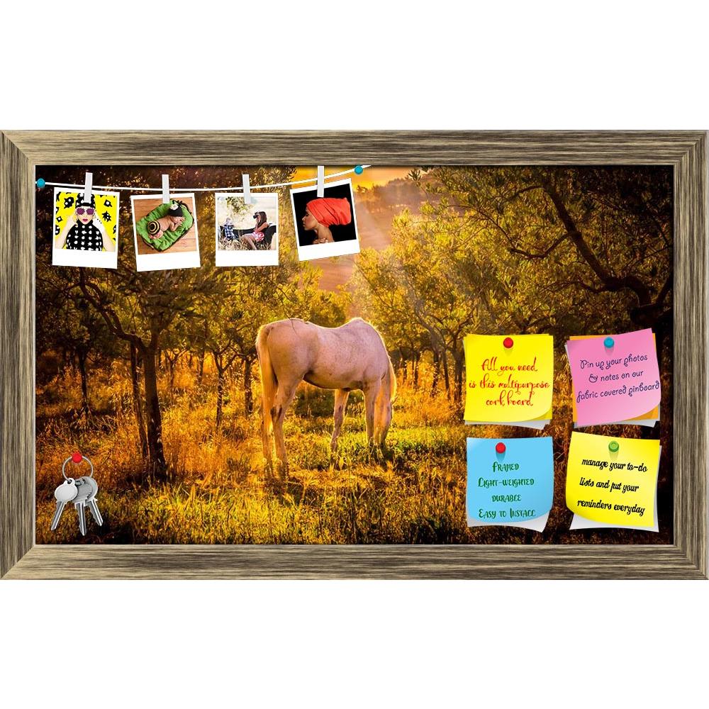 ArtzFolio White Wild Horse In Olive Tuscan Orchard Printed Bulletin Board Notice Pin Board Soft Board | Framed-Bulletin Boards Framed-AZ5006873BLB_FR_RF_R-0-Image Code 5006873 Vishnu Image Folio Pvt Ltd, IC 5006873, ArtzFolio, Bulletin Boards Framed, Animals, Landscapes, Photography, white, wild, horse, in, olive, tuscan, orchard, printed, bulletin, board, notice, pin, soft, framed, tuscany, italy, landscape, sunset, italian, sunrise, coun, pin up board, push pin board, extra large cork board, big pin board