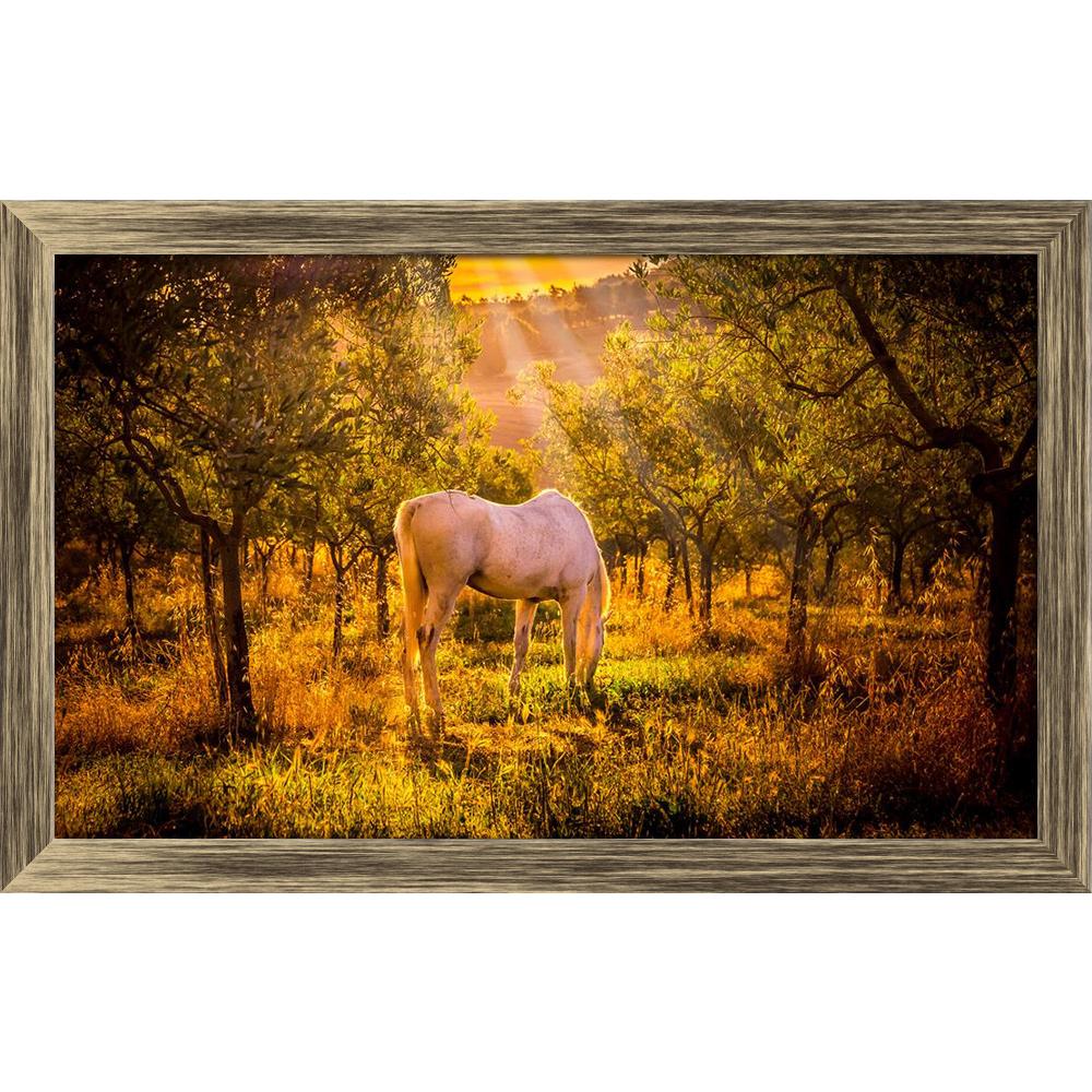 ArtzFolio White Wild Horse In Olive Tuscan Orchard Canvas Painting Synthetic Frame-Paintings Synthetic Framing-AZ5006873ART_FR_RF_R-0-Image Code 5006873 Vishnu Image Folio Pvt Ltd, IC 5006873, ArtzFolio, Paintings Synthetic Framing, Animals, Landscapes, Photography, white, wild, horse, in, olive, tuscan, orchard, canvas, painting, synthetic, frame, framed, print, wall, for, living, room, with, poster, pitaara, box, large, size, drawing, art, split, big, office, reception, of, kids, panel, designer, decorati