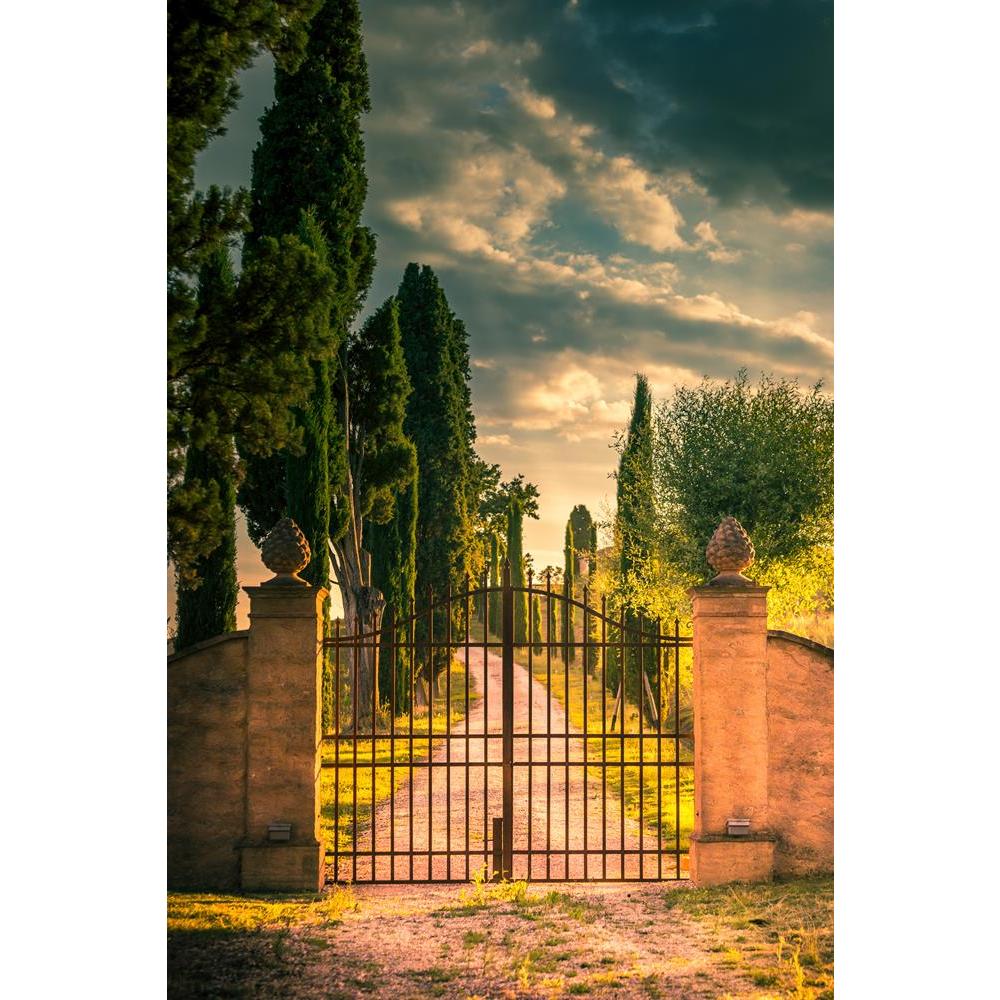 ArtzFolio Tall Cypress Trees in Tuscany, Italy Unframed Premium Canvas Painting-Paintings Unframed Premium-AZ5006875ART_UN_RF_R-0-Image Code 5006875 Vishnu Image Folio Pvt Ltd, IC 5006875, ArtzFolio, Paintings Unframed Premium, Landscapes, Places, Photography, tall, cypress, trees, in, tuscany, italy, unframed, premium, canvas, painting, large, size, print, wall, for, living, room, without, frame, decorative, poster, art, pitaara, box, drawing, amazonbasics, big, kids, designer, office, reception, reprint, 