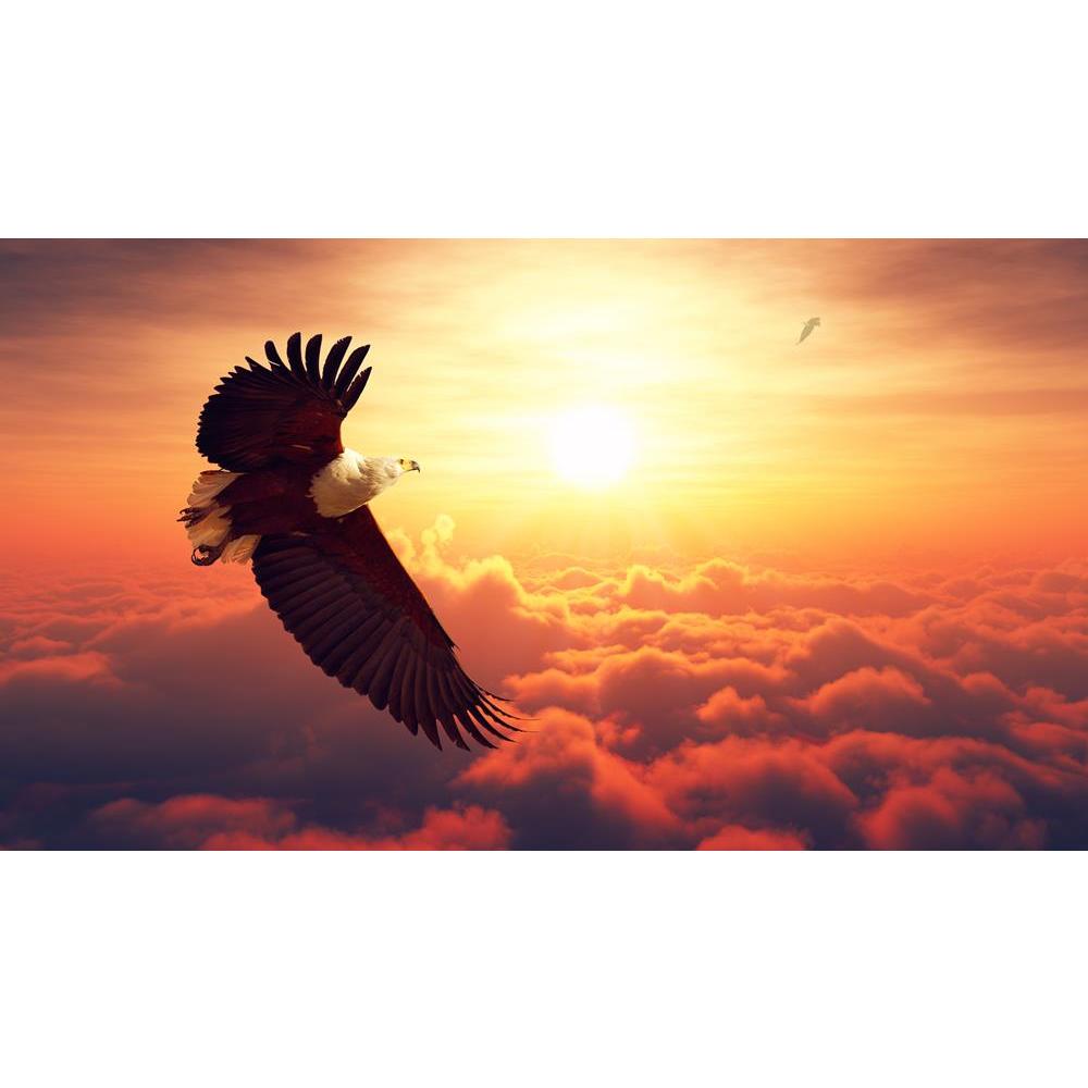 ArtzFolio African Fish Eagle Flying High Above the Clouds Unframed Premium Canvas Painting-Paintings Unframed Premium-AZ5006981ART_UN_RF_R-0-Image Code 5006981 Vishnu Image Folio Pvt Ltd, IC 5006981, ArtzFolio, Paintings Unframed Premium, Birds, Photography, african, fish, eagle, flying, high, above, the, clouds, unframed, premium, canvas, painting, large, size, print, wall, for, living, room, without, frame, decorative, poster, art, pitaara, box, drawing, amazonbasics, big, kids, designer, office, receptio