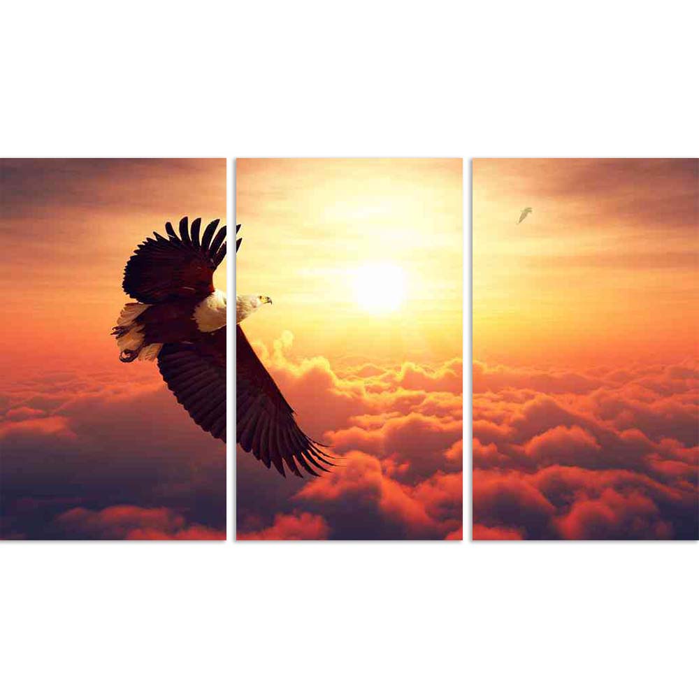 ArtzFolio African Fish Eagle Flying High Above the Clouds Split Art Painting Panel on Sunboard-Split Art Panels-AZ5006981SPL_FR_RF_R-0-Image Code 5006981 Vishnu Image Folio Pvt Ltd, IC 5006981, ArtzFolio, Split Art Panels, Birds, Photography, african, fish, eagle, flying, high, above, the, clouds, split, art, painting, panel, on, sunboard, framed, canvas, print, wall, for, living, room, with, frame, poster, pitaara, box, large, size, drawing, big, office, reception, of, kids, designer, decorative, amazonbas