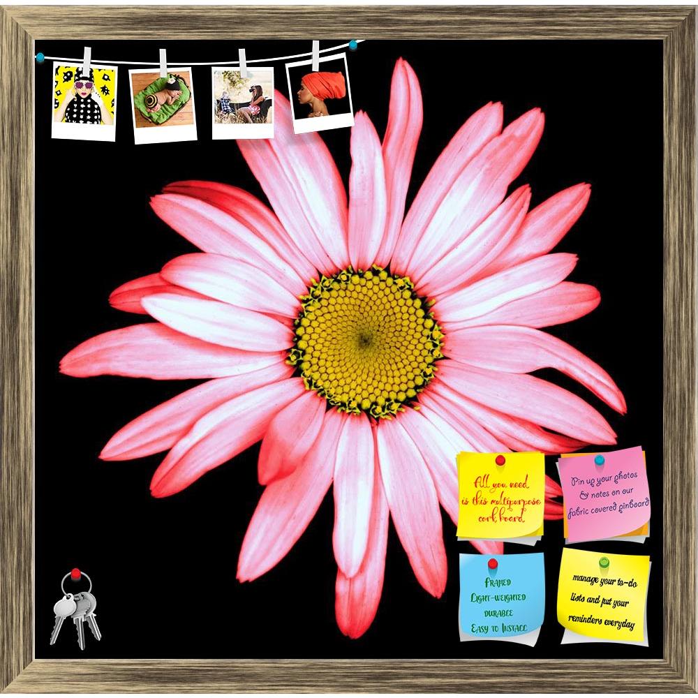 ArtzFolio Surreal Dark Chrome Pink & White Daisy Flower Printed Bulletin Board Notice Pin Board Soft Board | Framed-Bulletin Boards Framed-AZ5007054BLB_FR_RF_R-0-Image Code 5007054 Vishnu Image Folio Pvt Ltd, IC 5007054, ArtzFolio, Bulletin Boards Framed, Floral, Photography, surreal, dark, chrome, pink, white, daisy, flower, printed, bulletin, board, notice, pin, soft, framed, black, isolated, background, macro, yellow, bloss, pin up board, push pin board, extra large cork board, big pin board, notice boar