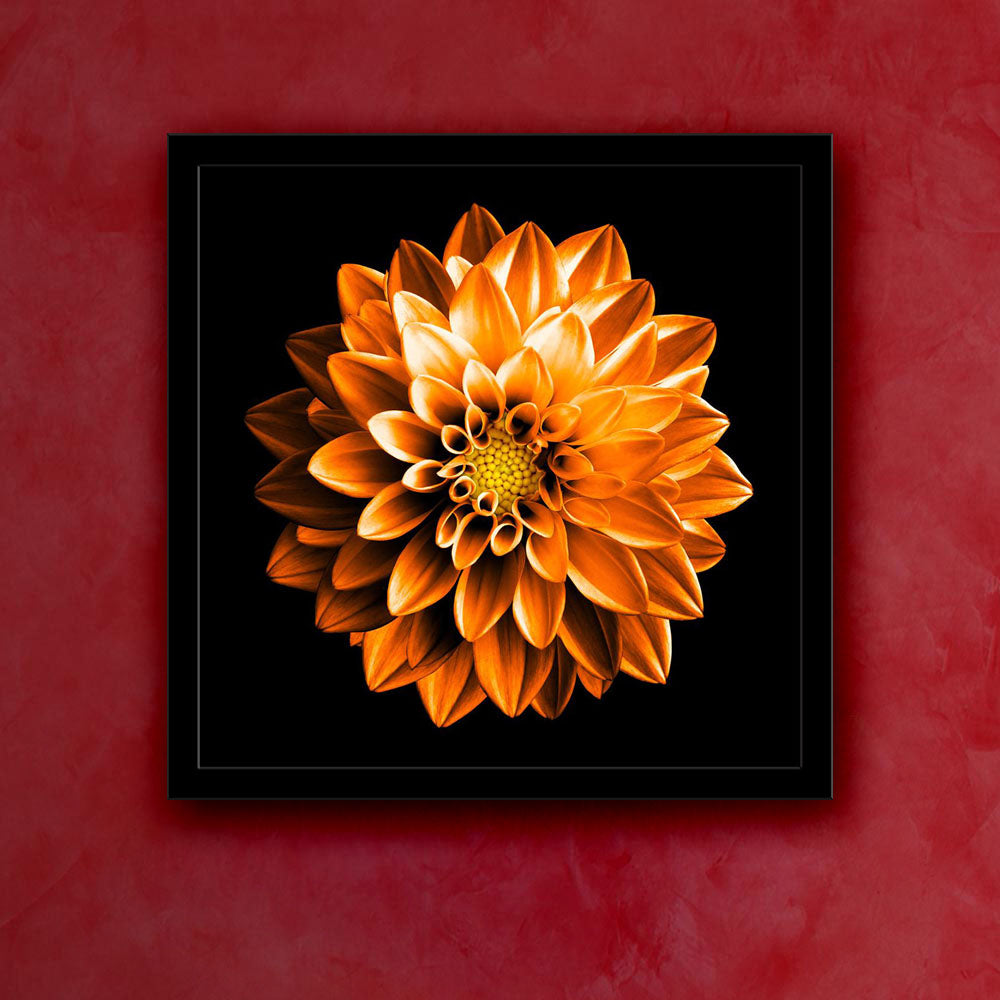 Buy ArtzFolio Regular Art Framed at Best Prices In India | Surreal