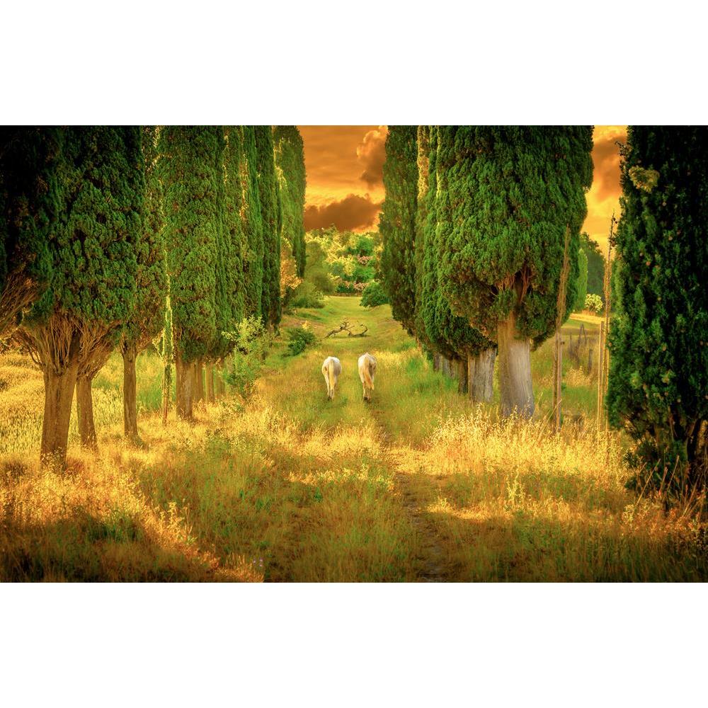 ArtzFolio Wild Horses Amongst High Tuscan Cypress Trees Canvas Painting-Paintings MDF Framing-AZ5007079ART_UN_RF_R-0-Image Code 5007079 Vishnu Image Folio Pvt Ltd, IC 5007079, ArtzFolio, Paintings MDF Framing, Animals, Landscapes, Photography, wild, horses, amongst, high, tuscan, cypress, trees, canvas, painting, framed, print, wall, for, living, room, with, frame, poster, pitaara, box, large, size, drawing, art, split, big, office, reception, of, kids, panel, designer, decorative, amazonbasics, reprint, sm
