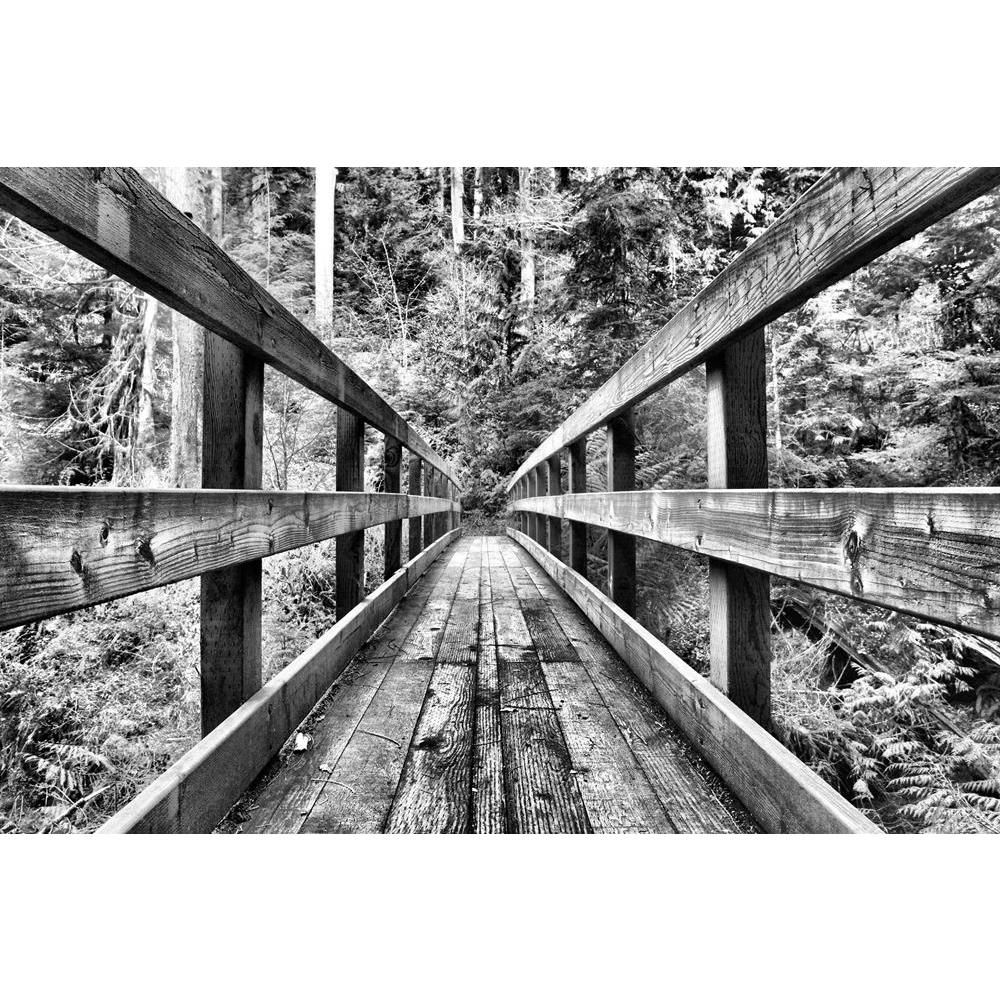 ArtzFolio Black White Of Wooden Bridge Canvas Painting-Paintings MDF Framing-AZ5007150ART_UN_RF_R-0-Image Code 5007150 Vishnu Image Folio Pvt Ltd, IC 5007150, ArtzFolio, Paintings MDF Framing, Landscapes, Vintage, Photography, black, white, of, wooden, bridge, canvas, painting, framed, print, wall, for, living, room, with, frame, poster, pitaara, box, large, size, drawing, art, split, big, office, reception, kids, panel, designer, decorative, amazonbasics, reprint, small, bedroom, on, scenery, architecture,