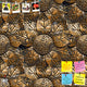 Sticky Image